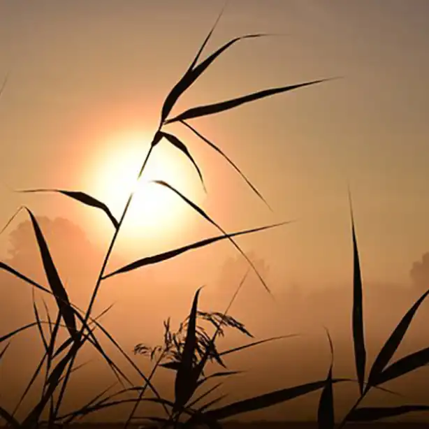 Sonnenuntergang