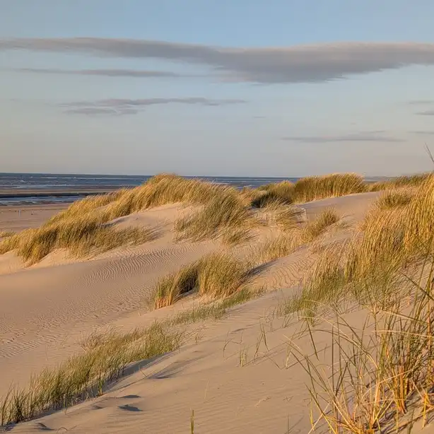 Strand-Impression