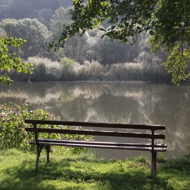 Symboldbild Leere Bank am See, Pixabay