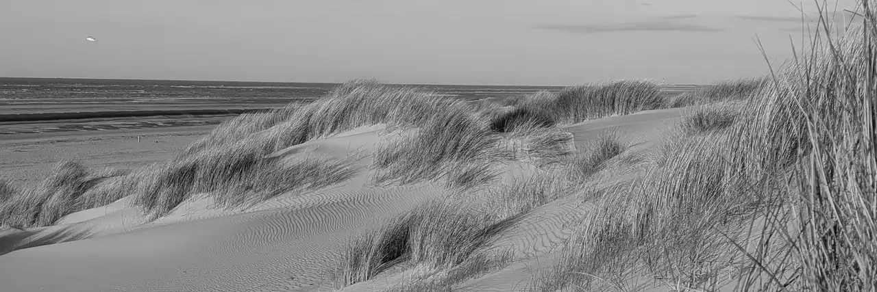 Strand-Impression