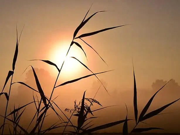 Sonnenuntergang