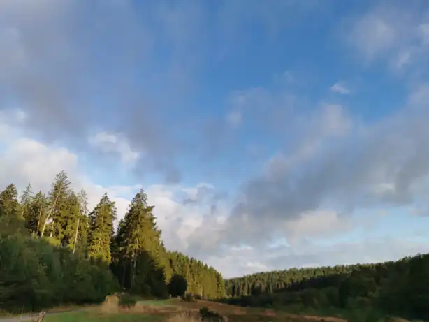 Blick auf Wald und Himmel